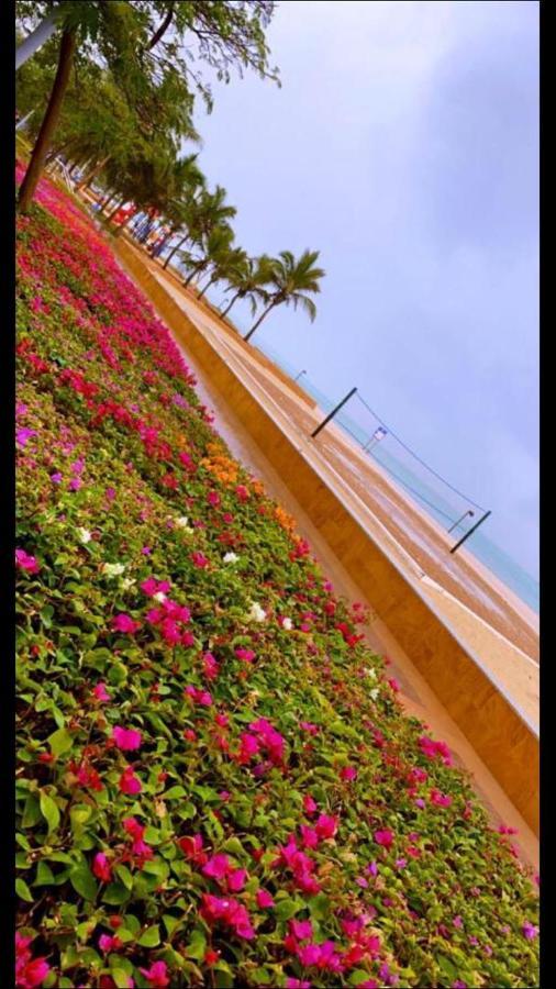 أستديو توليب مارينا الفندقي King Abdullah Economic City Extérieur photo